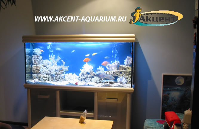 Акцент-аквариум,аквариум 360 литров прямоугольный